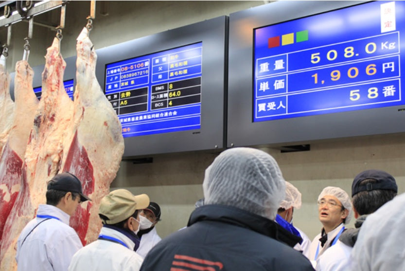 A5ランク完全ガイド - 和牛最高級格付けの真実