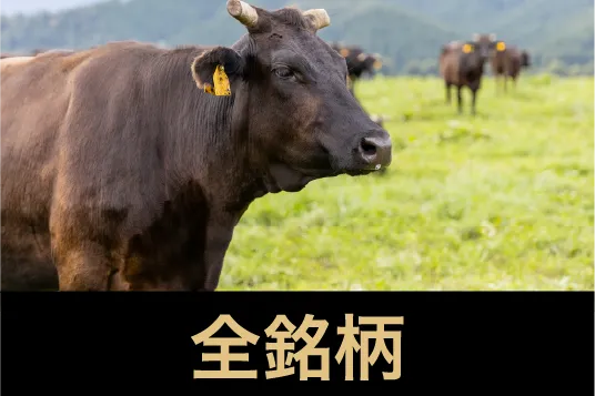 全銘柄