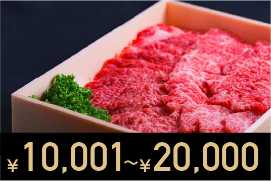 10,001円～20,000円
