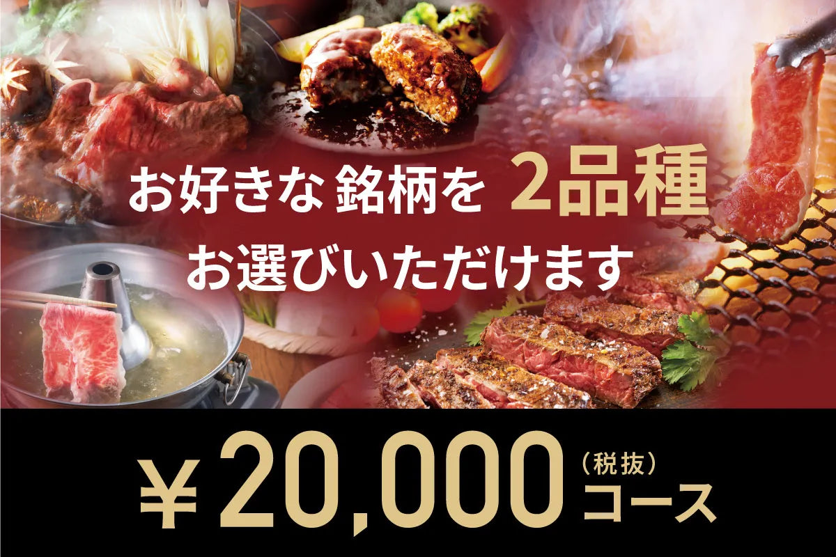 20,000円コース