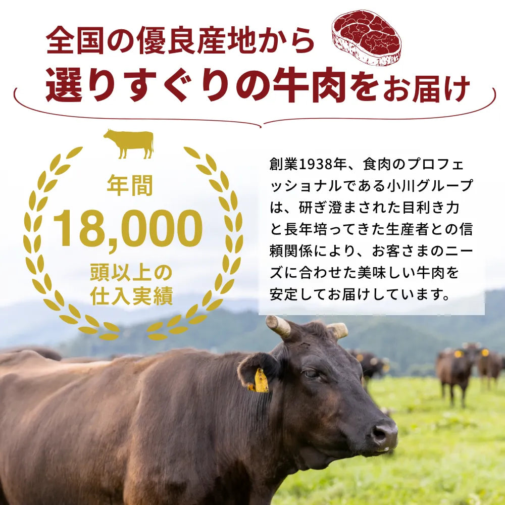 【ギフトカード形式】前沢牛から選べるカタログギフト輝（かがやき）