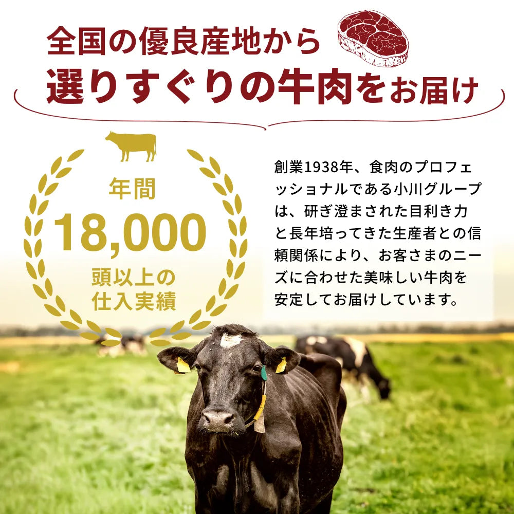 【e-ギフト形式】松阪牛から選べるカタログギフト雅（みやび）